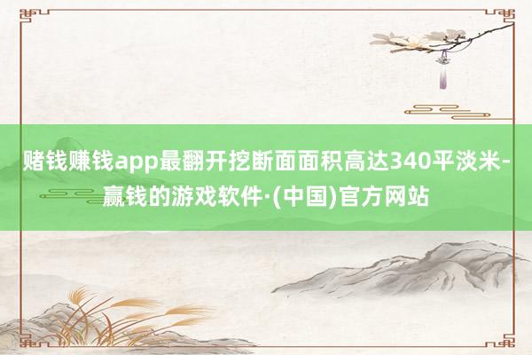 赌钱赚钱app最翻开挖断面面积高达340平淡米-赢钱的游戏软件·(中国)官方网站