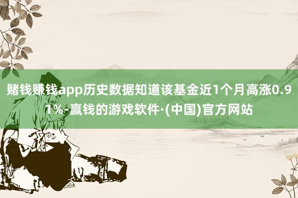 赌钱赚钱app历史数据知道该基金近1个月高涨0.91%-赢钱的游戏软件·(中国)官方网站