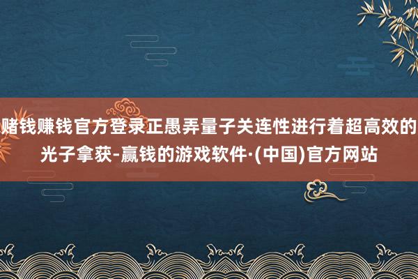 赌钱赚钱官方登录正愚弄量子关连性进行着超高效的光子拿获-赢钱的游戏软件·(中国)官方网站