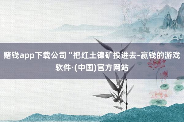 赌钱app下载公司“把红土镍矿投进去-赢钱的游戏软件·(中国)官方网站